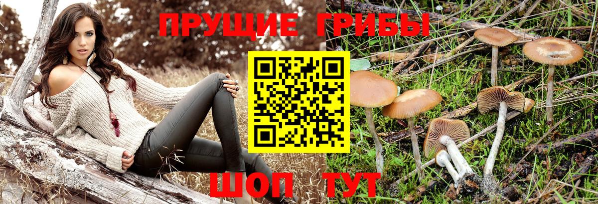 Галлюциногенные грибы GOLDEN TEACHER Усинск
